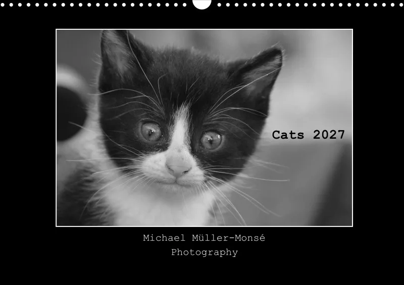Cats 2027 S/W