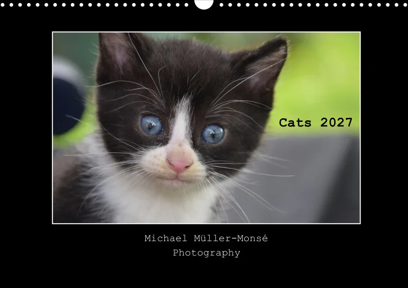 Cats 2027 Color