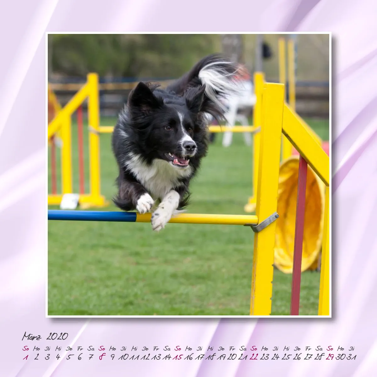 Agility 2020 Quadratisch (2) 20x20