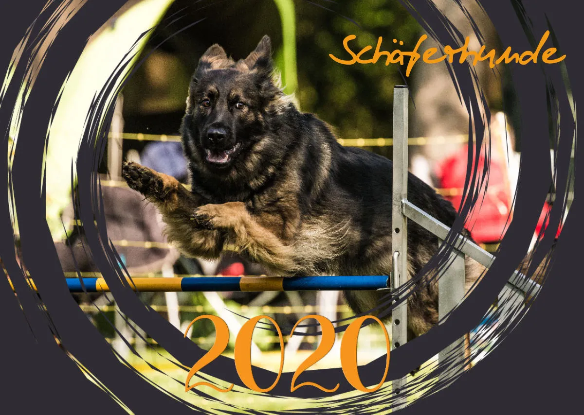 Agility Bildkalender / Schäferhunde