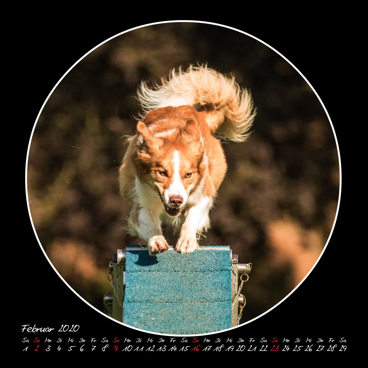 Agility 2020 Quadratisch