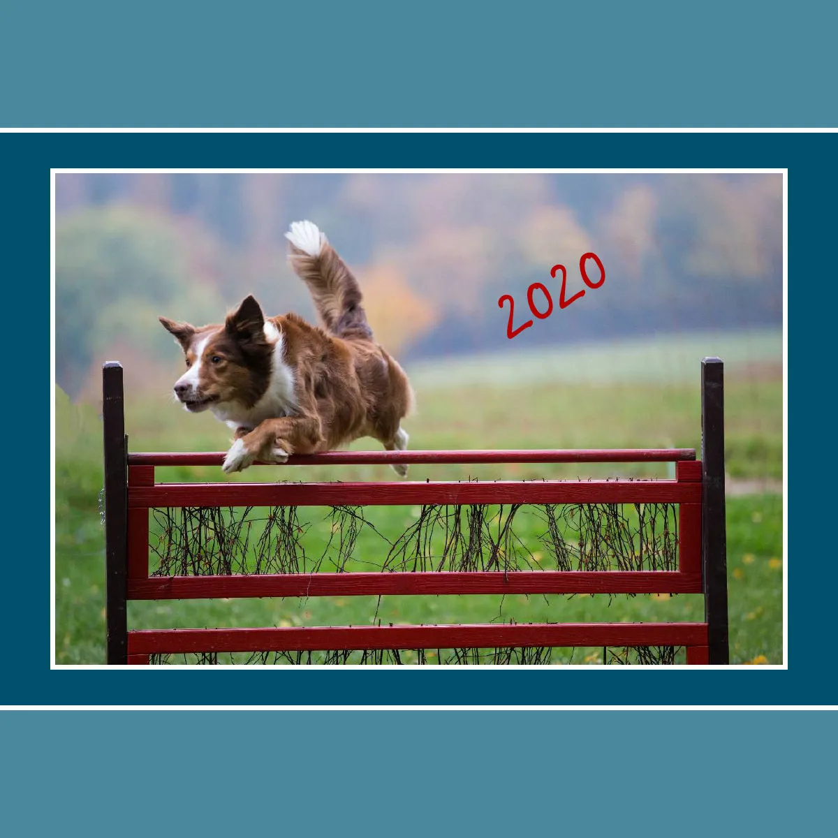 Agility 2020 Quadratisch (3)