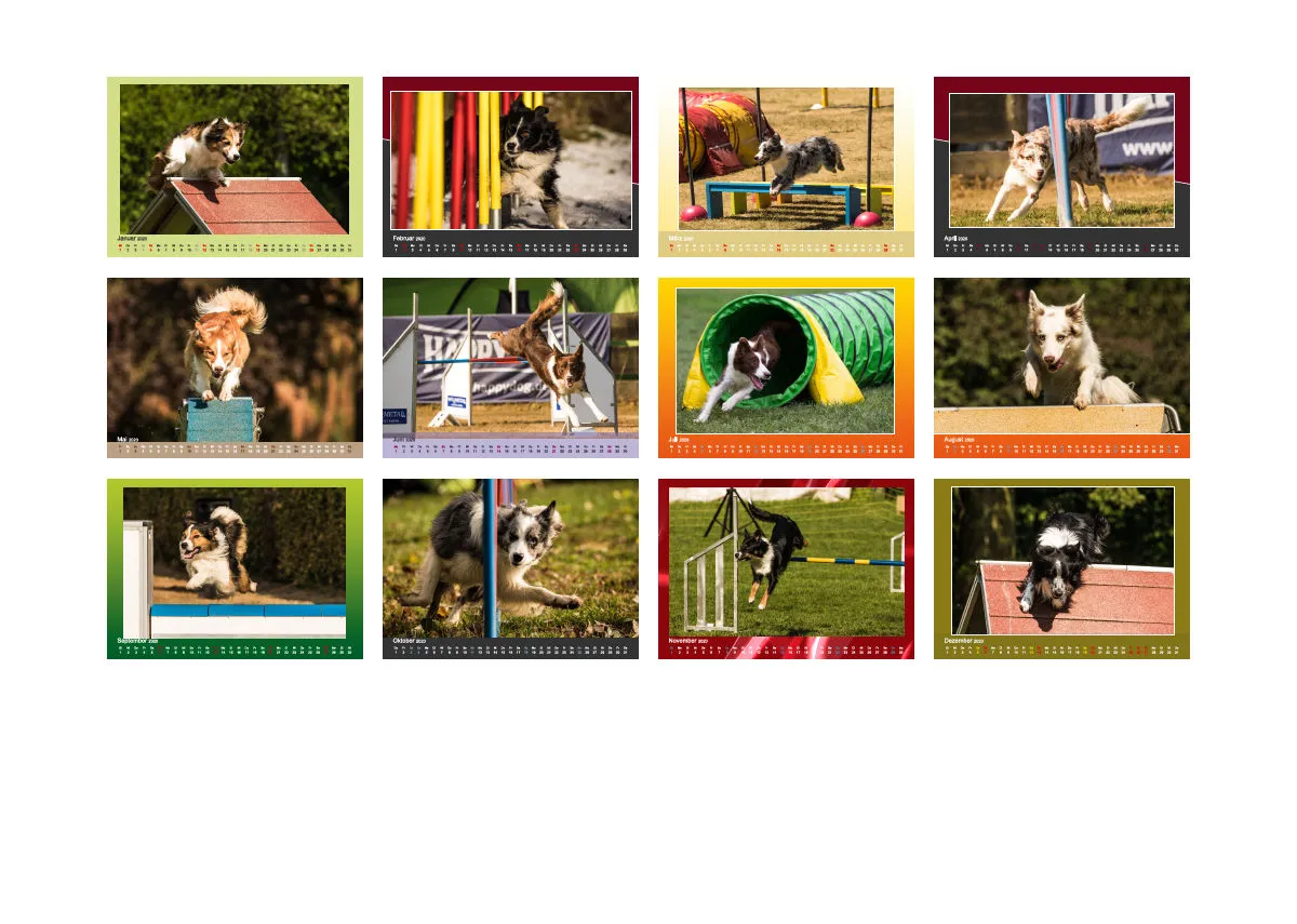 Agility Border Collies 2020 A4 quer