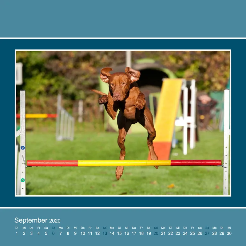 Agility 2020 Quadratisch (3)