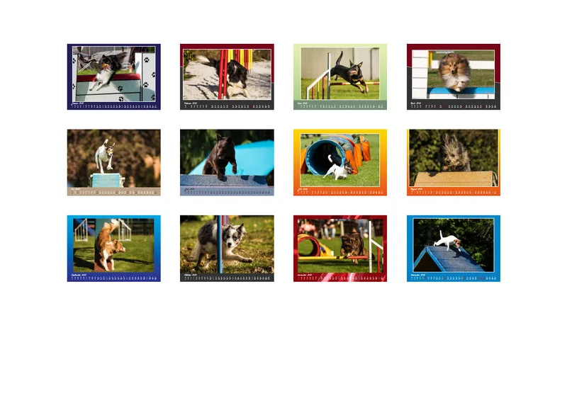 Bildkalender / Agility 2020 A3 quer