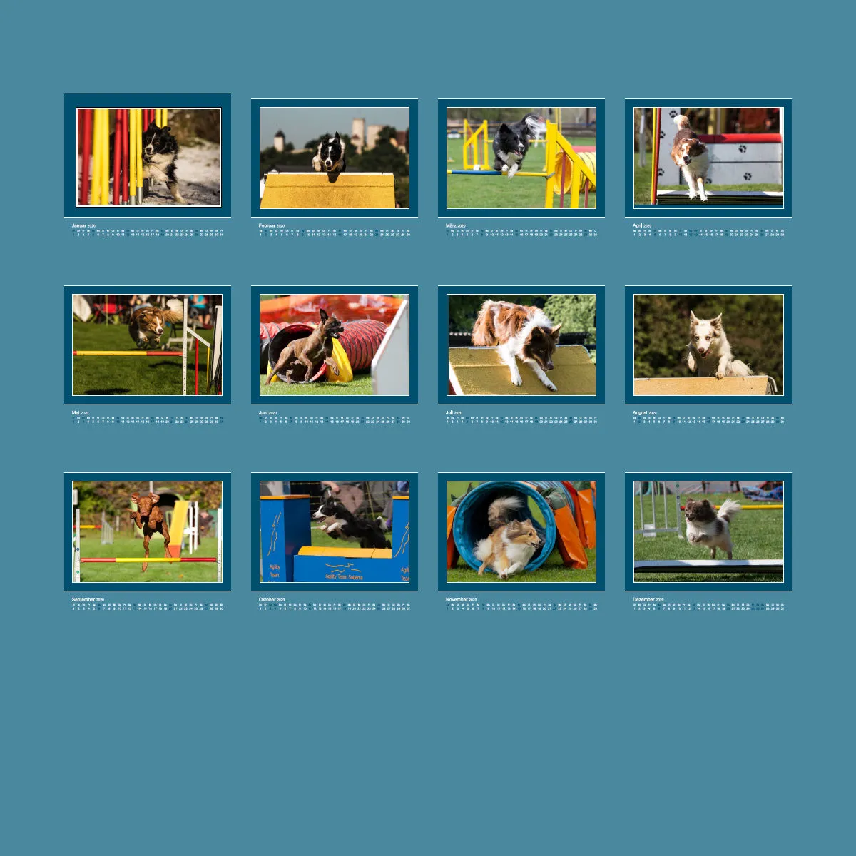 Agility 2020 Quadratisch (3)