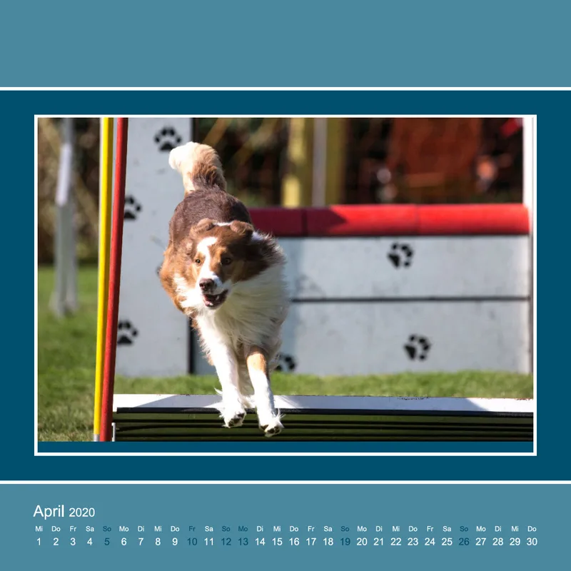 Agility 2020 Quadratisch (3)