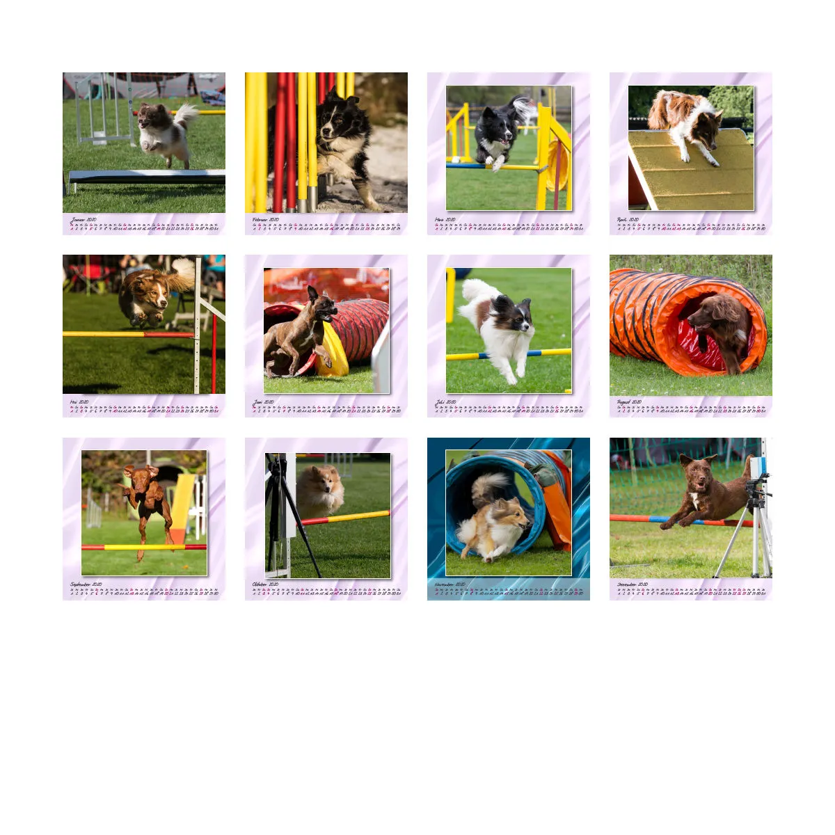 Agility 2020 Quadratisch (2) 20x20
