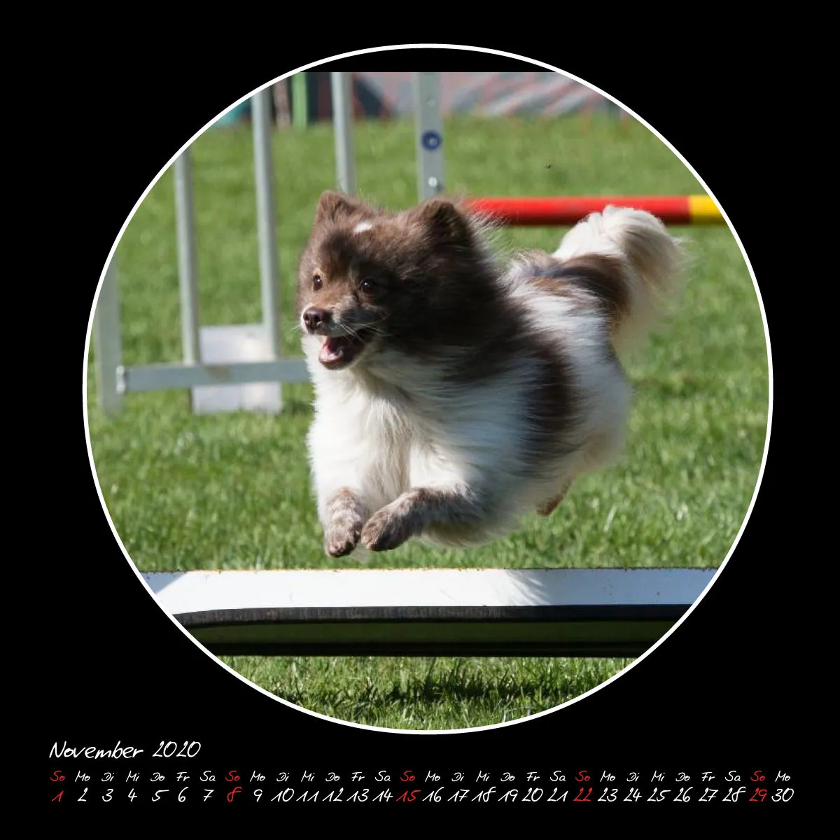Agility 2020 Quadratisch