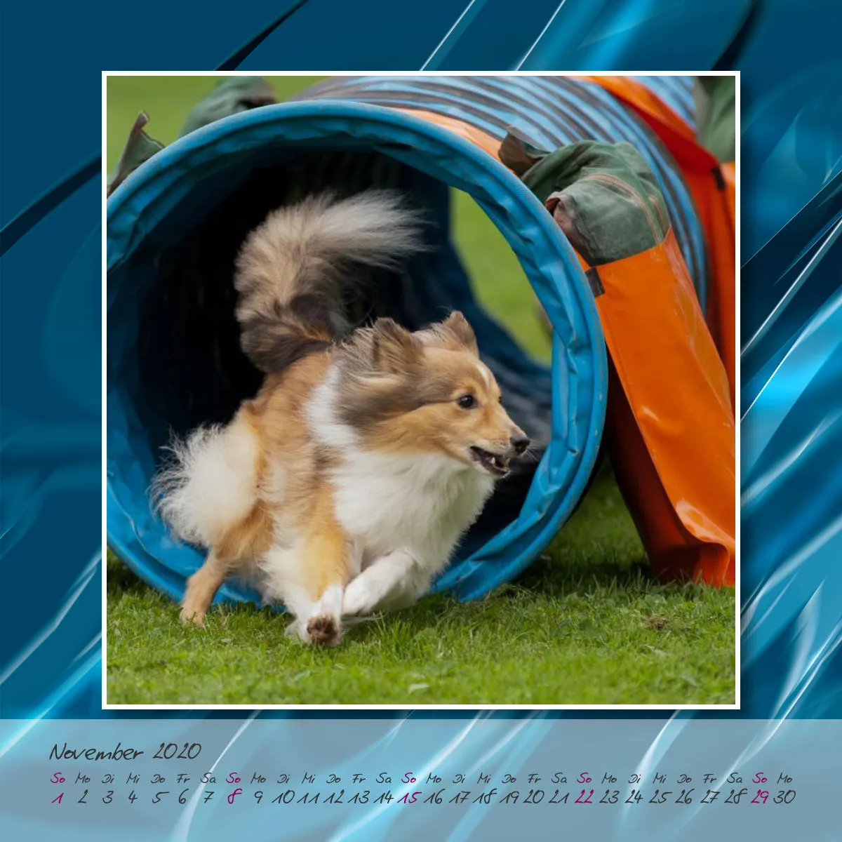 Agility 2020 Quadratisch (2) 20x20