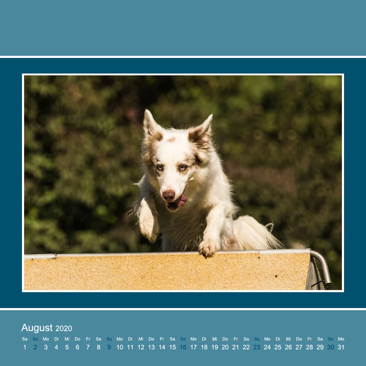Agility 2020 Quadratisch (3)