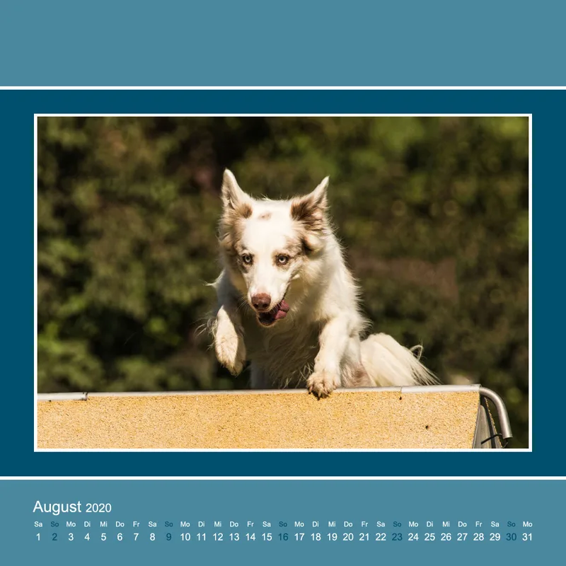 Agility 2020 Quadratisch (3)