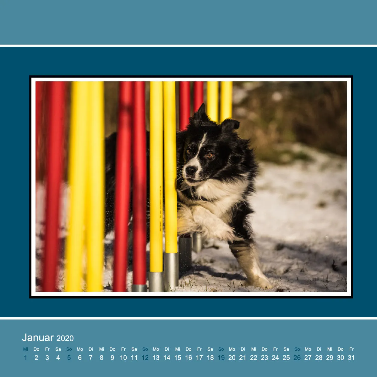 Agility 2020 Quadratisch (3)