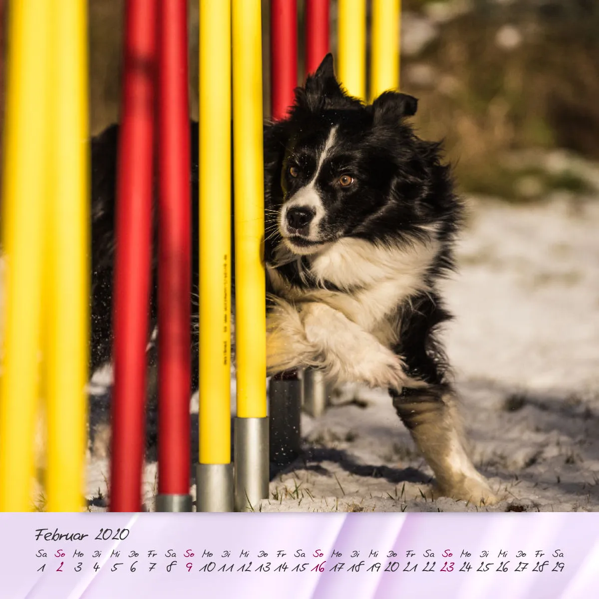 Agility 2020 Quadratisch (2) 20x20