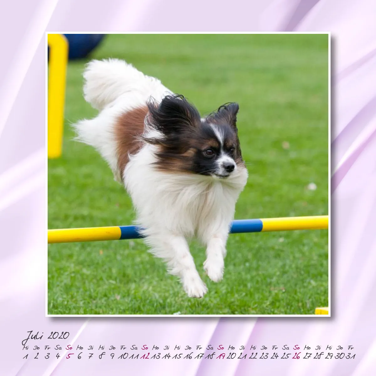 Agility 2020 Quadratisch (2) 20x20