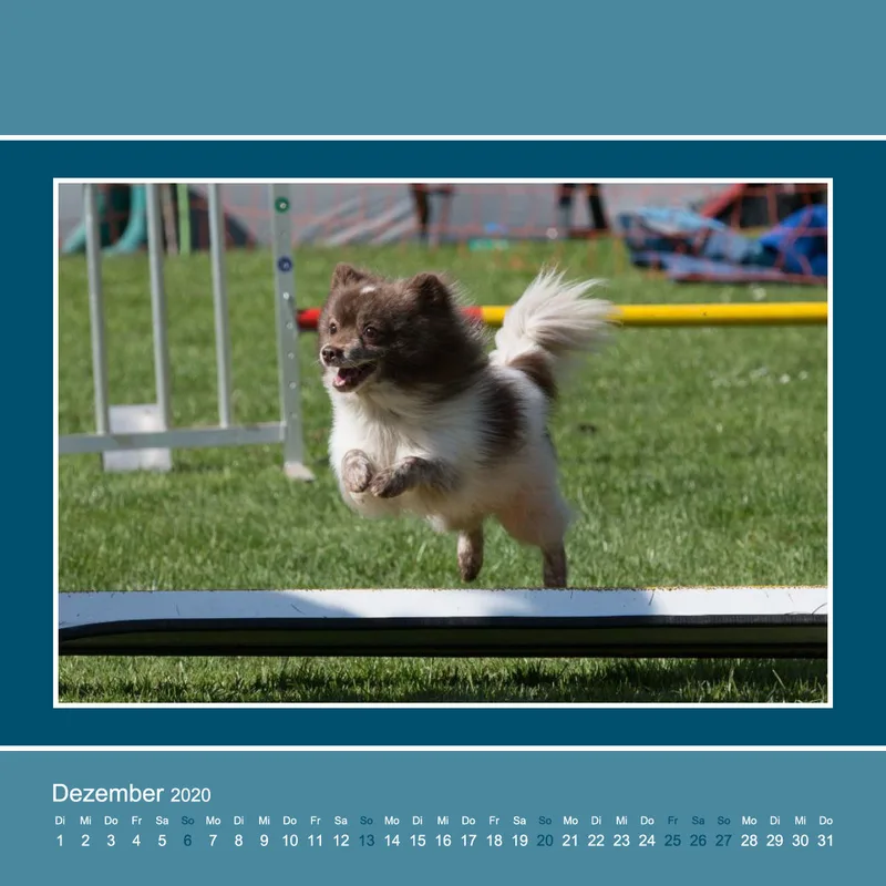 Agility 2020 Quadratisch (3)