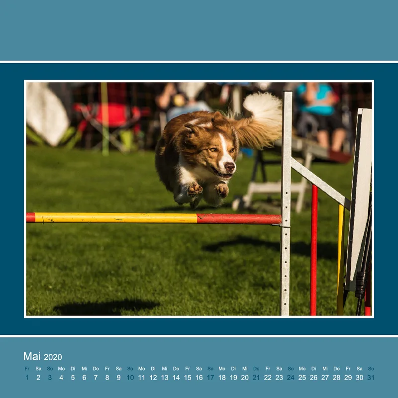 Agility 2020 Quadratisch (3)