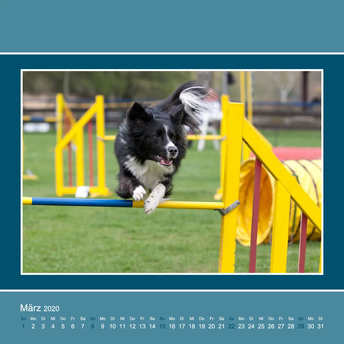 Agility 2020 Quadratisch (3)