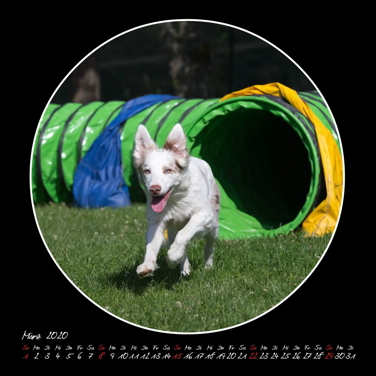 Agility 2020 Quadratisch