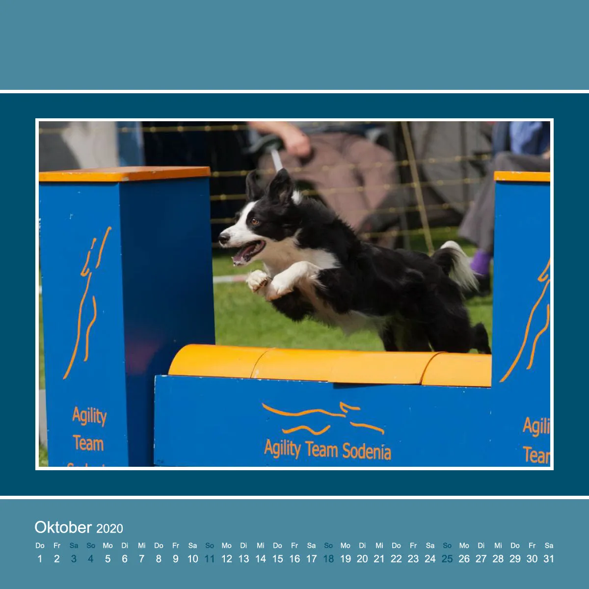 Agility 2020 Quadratisch (3)