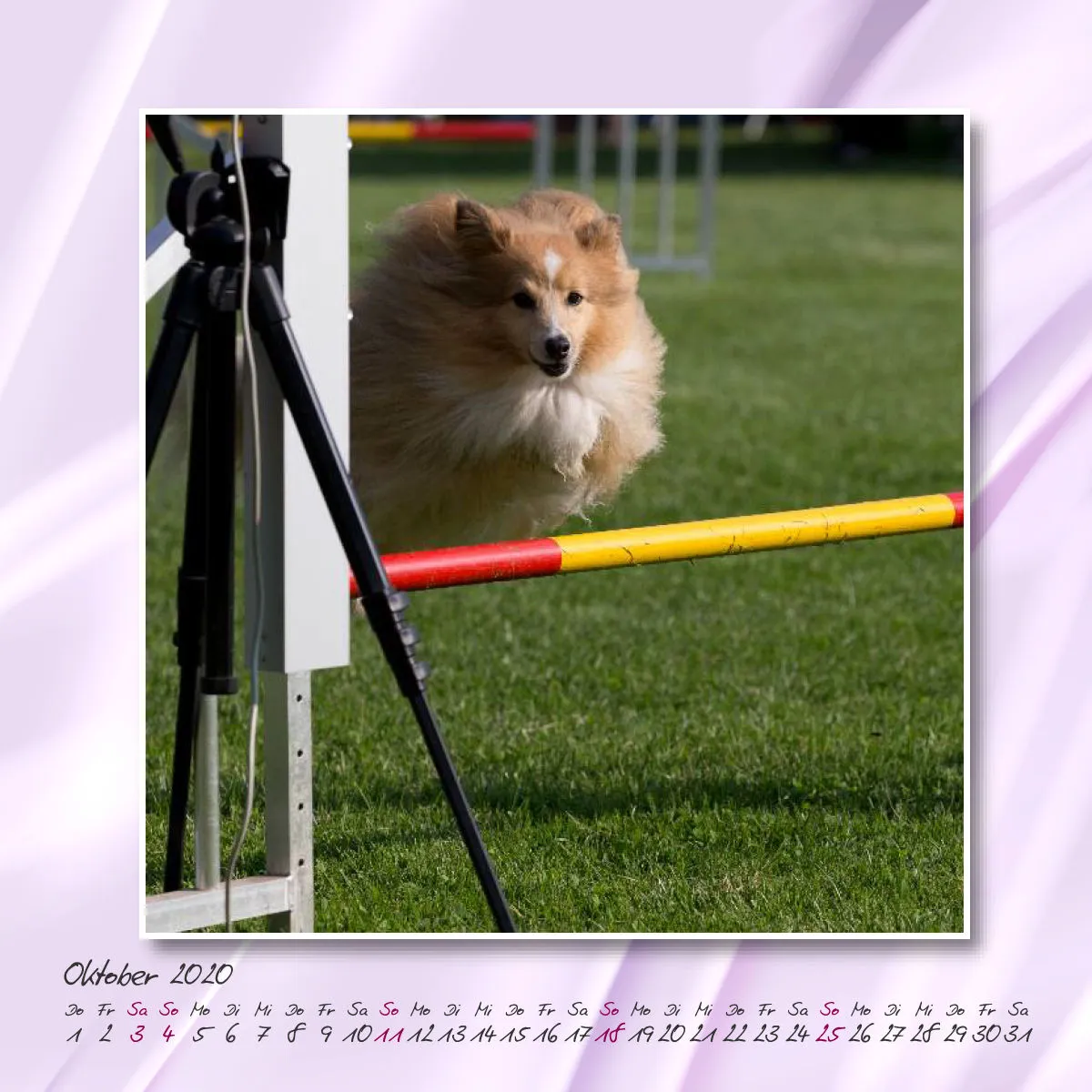 Agility 2020 Quadratisch (2) 20x20
