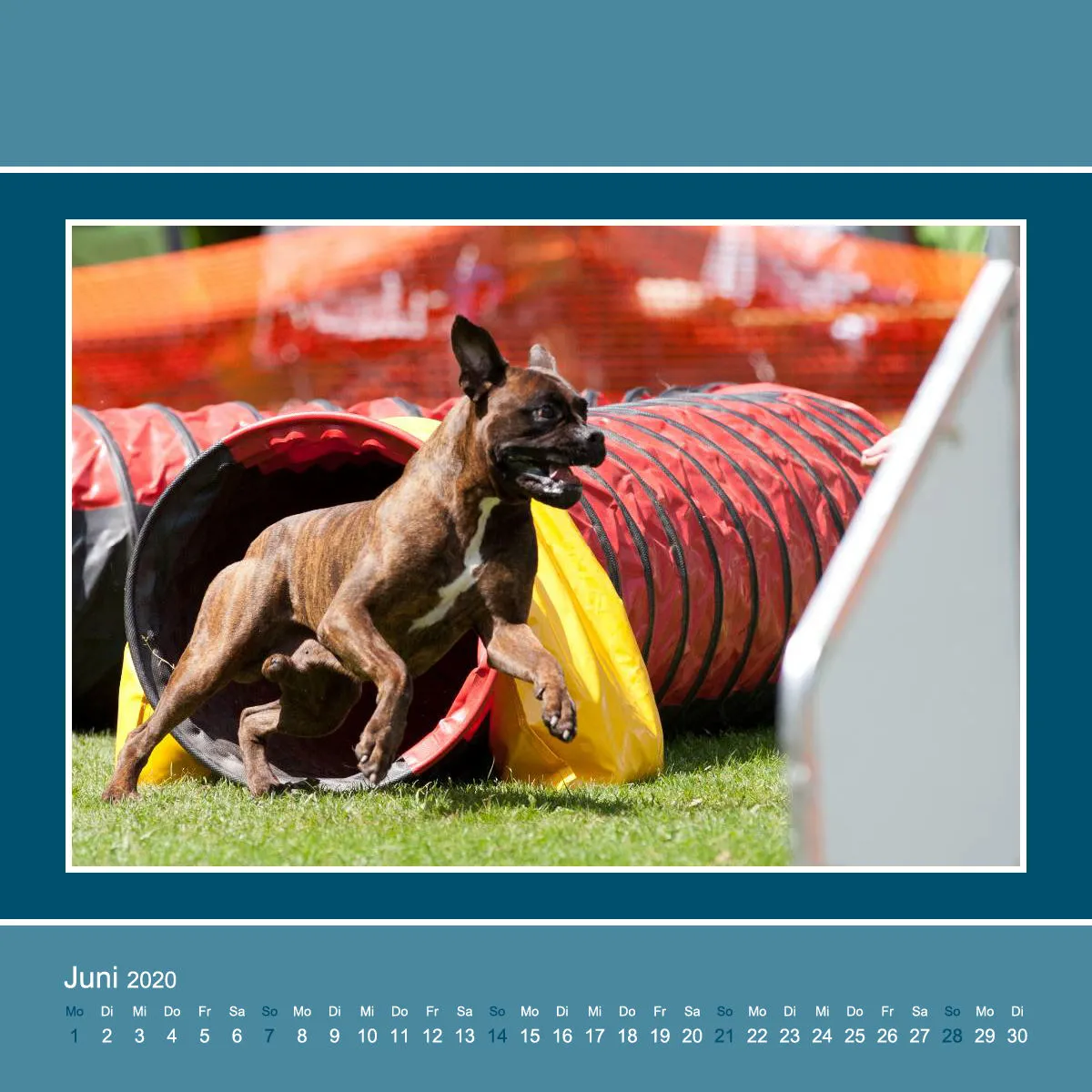 Agility 2020 Quadratisch (3)