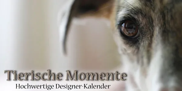 Tierische Momente