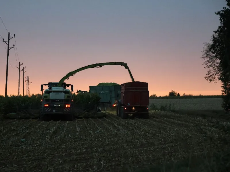 Fotoleinwand 40 x 30 Mais häckseln im Sonnenuntergang
