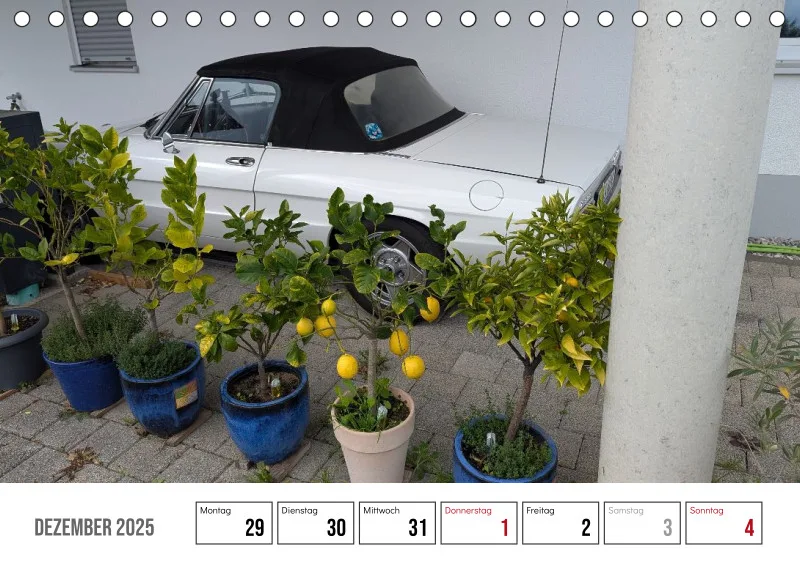 Scuderia Bavarese 2026 - Tisch-Wochenkalender