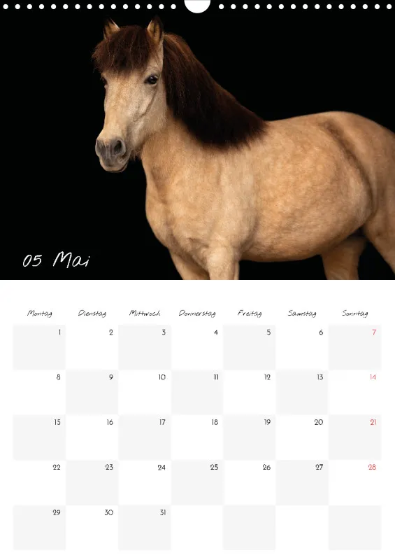 Terminkalender Pferde - pure Eleganz 2023 A3