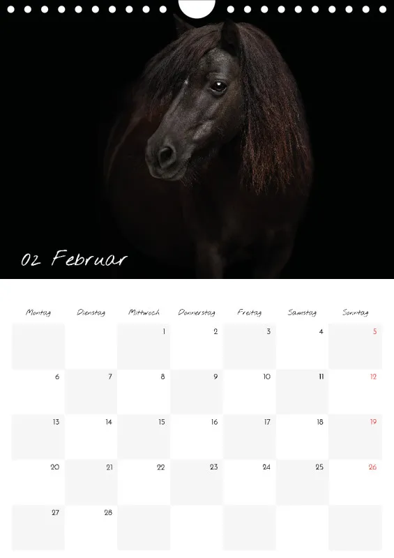 Terminkalender Pferde - pure Eleganz 2023 A4