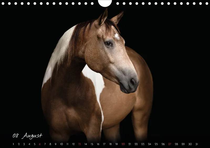Pferde - Pure Eleganz 2023 A4