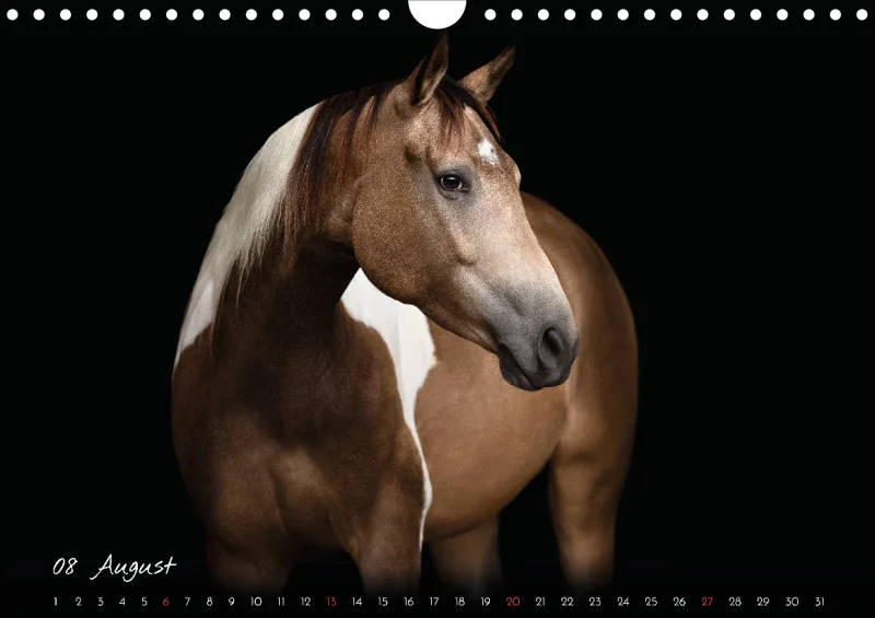 Pferde - Pure Eleganz 2023 A4