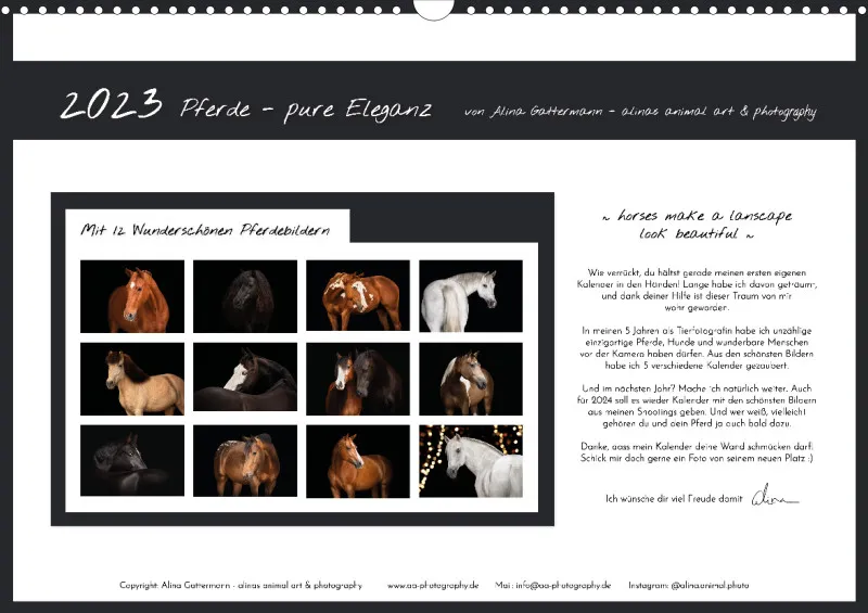 Pferde - Pure Eleganz 2023 A3