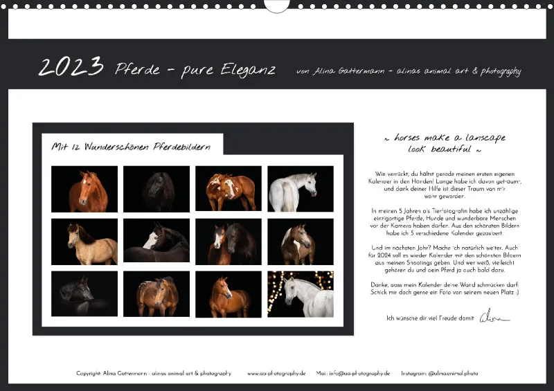 Pferde - Pure Eleganz 2023 A3