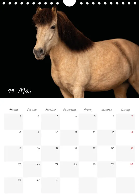 Terminkalender Pferde - pure Eleganz 2023 A4