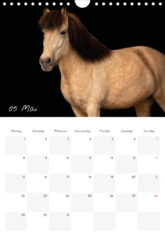 Terminkalender Pferde - pure Eleganz 2023 A4