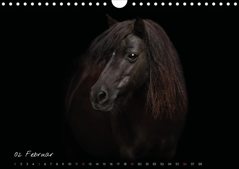 Pferde - Pure Eleganz 2023 A4