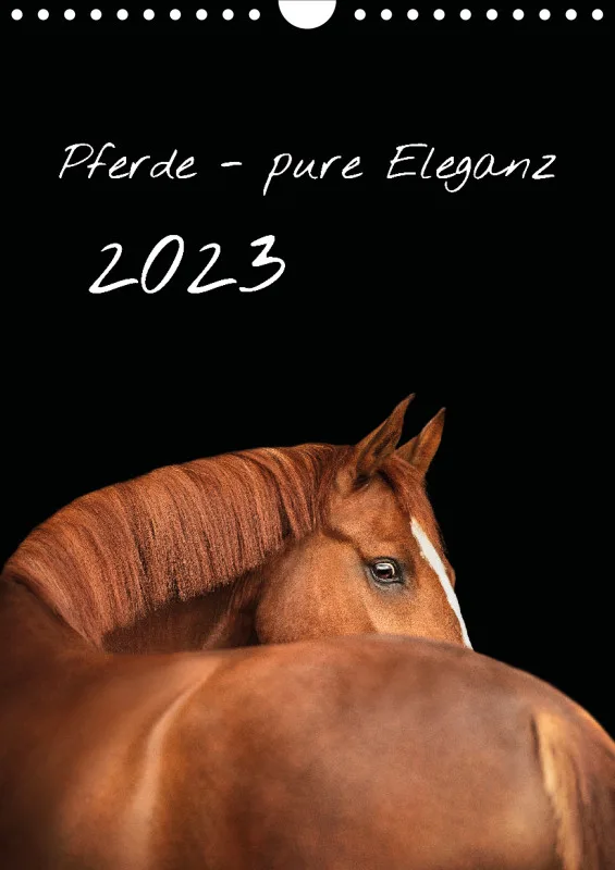Terminkalender Pferde - pure Eleganz 2023 A4