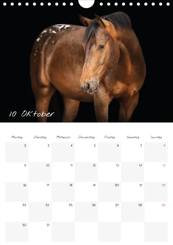 Terminkalender Pferde - pure Eleganz 2023 A4