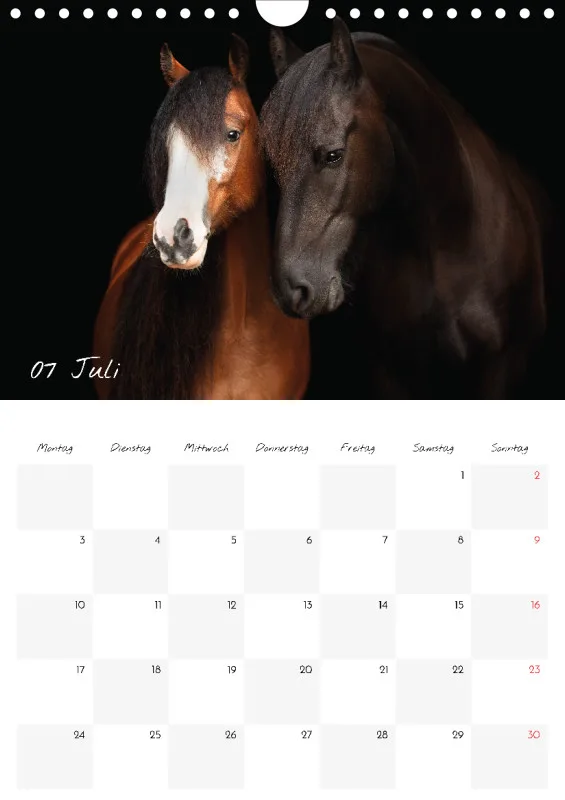 Terminkalender Pferde - pure Eleganz 2023 A4