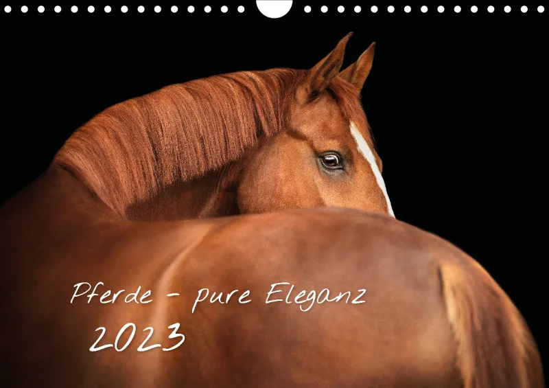 Pferde - Pure Eleganz 2023 A4