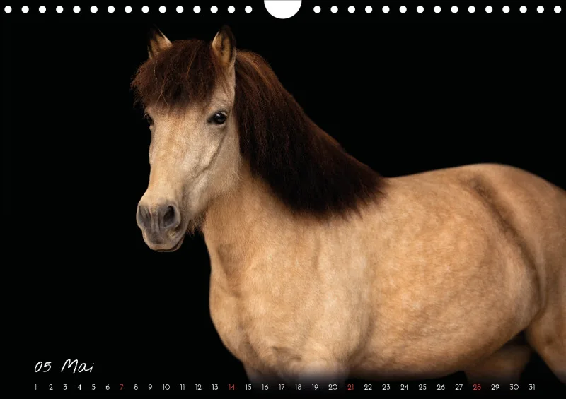Pferde - Pure Eleganz 2023 A4