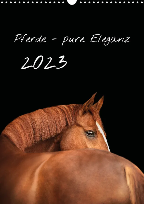 Terminkalender Pferde - pure Eleganz 2023 A3
