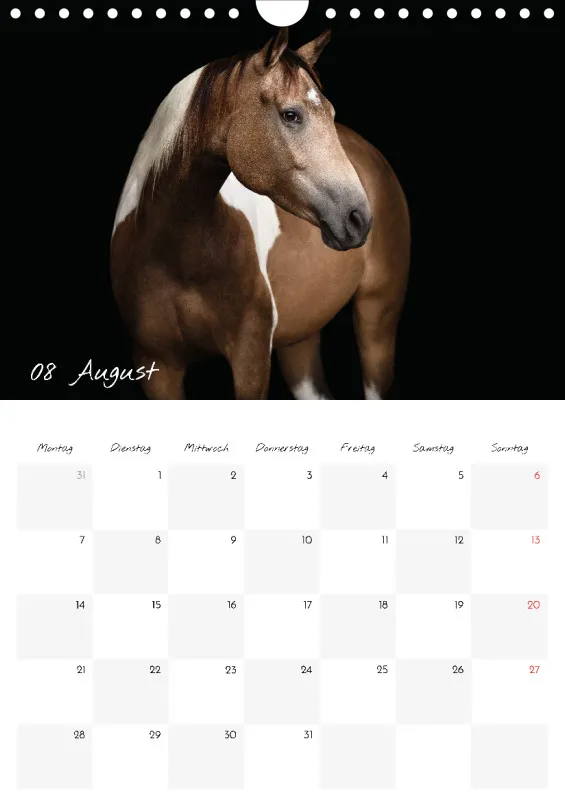 Terminkalender Pferde - pure Eleganz 2023 A4