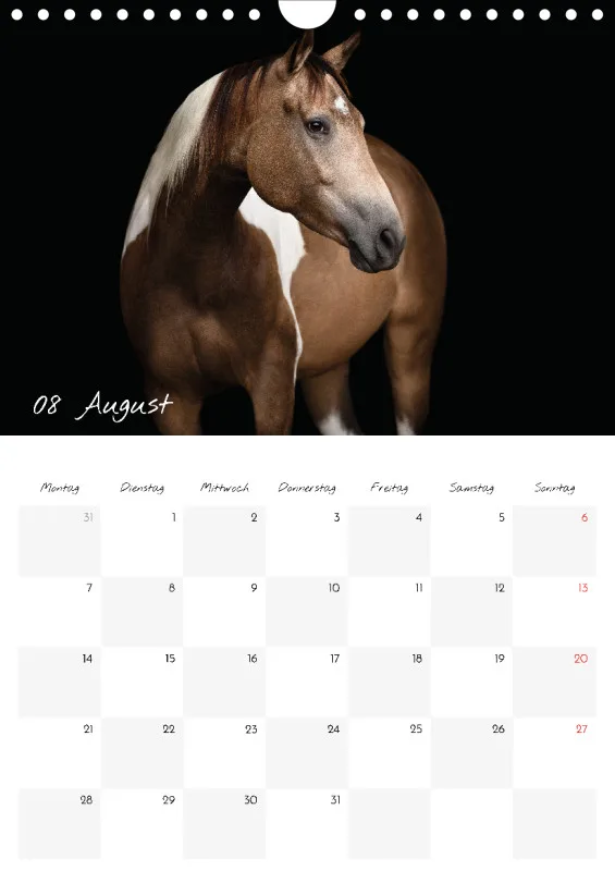 Terminkalender Pferde - pure Eleganz 2023 A4
