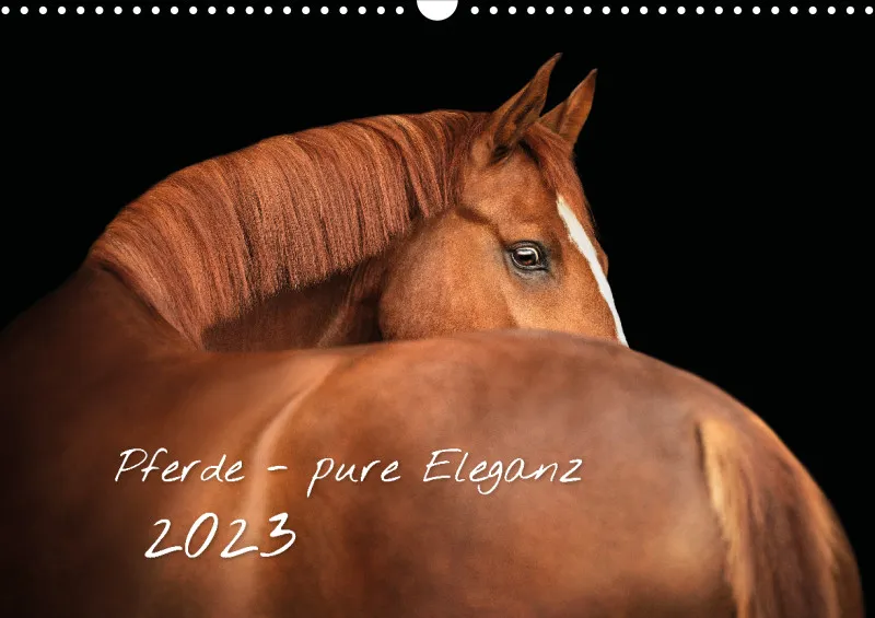 Pferde - Pure Eleganz 2023 A3
