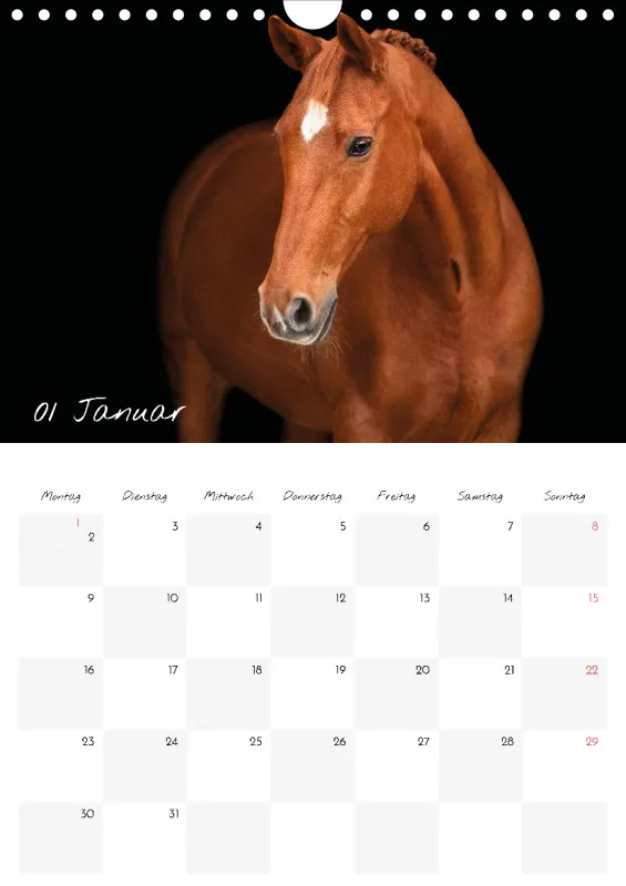 Terminkalender Pferde - pure Eleganz 2023 A4
