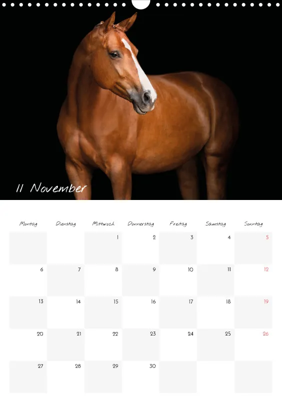 Terminkalender Pferde - pure Eleganz 2023 A3