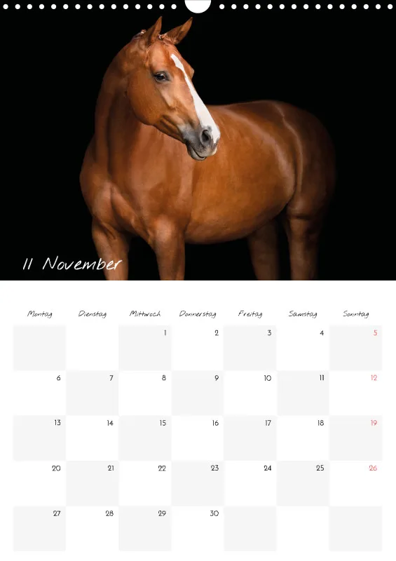Terminkalender Pferde - pure Eleganz 2023 A3